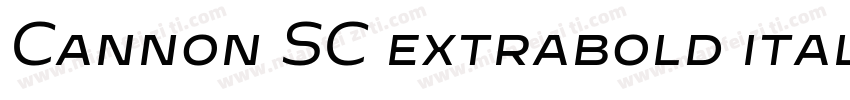 Cannon SC extrabold italic字体转换